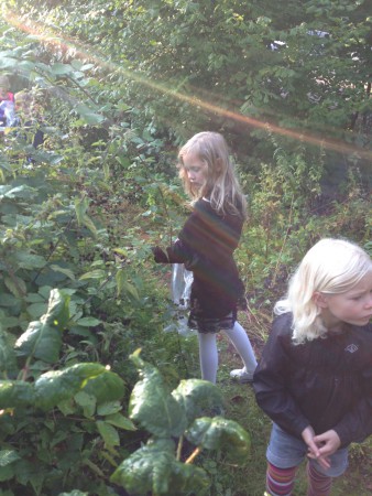 Tirsdag den 10 september