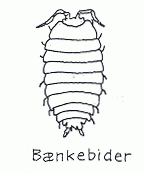 Bænkebider